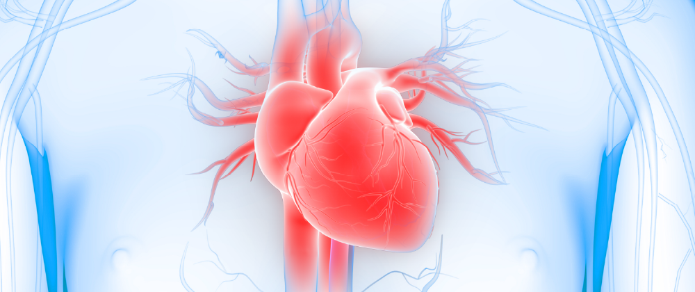 Valvular Heart Diseases: New Minimally Invasive Therapies That Change Patients’ Lives