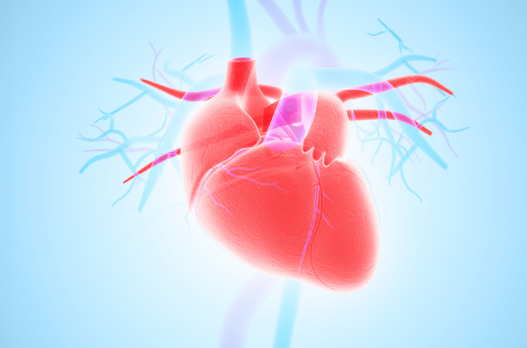 Valvular Heart Diseases: New Minimally Invasive Therapies That Change Patients’ Lives